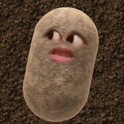 картоха, игрушка, картошка, картошка смешная, pebble the potato