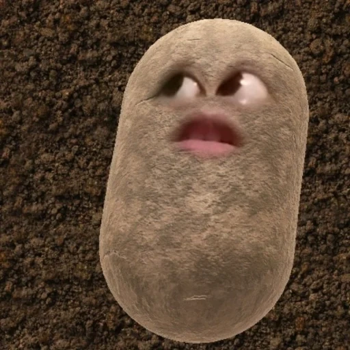 batatas, eu sou uma batata, batatas engraçadas, pebble the potato, batatas falantes