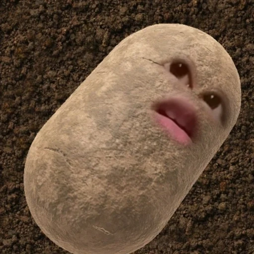 еда, даша, картошка, активность, pebble the potato