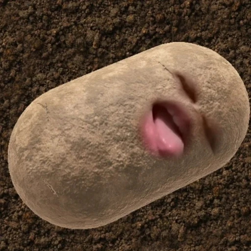 boy, human, potatoes, i'm potatoes, the potato is funny