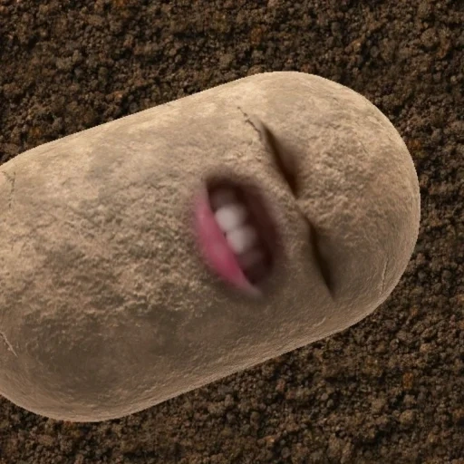 мальчик, картошка, я картошка, картошка смешная, pebble the potato