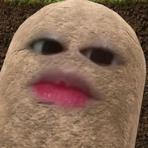 joke, human, funny faces, the potato is funny, potato zoom meme