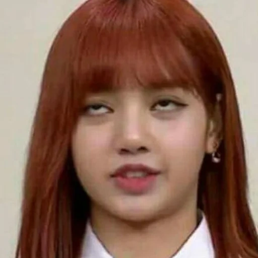 polvo negro, lisa negra, lisa blackpink, fox blackpink, polvo negro lisa