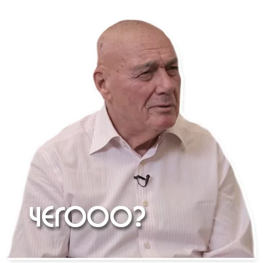 posner, desconhecido, posner em dudia, vladimir pozner