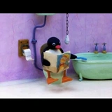 pingu