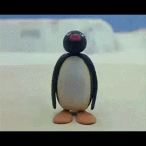 пингвин смешной, пингвин, мем пингвин, птица пингвин, пингвин пинго