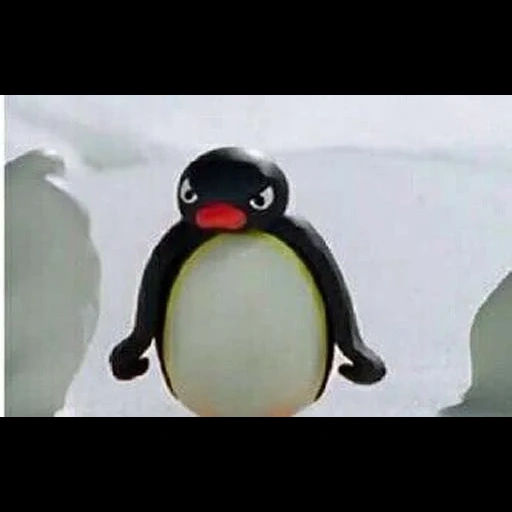 penguin, пингвин noot noot, мем пингвины из бананов пристрелите меня, пингвин пинго, pingu пингвин