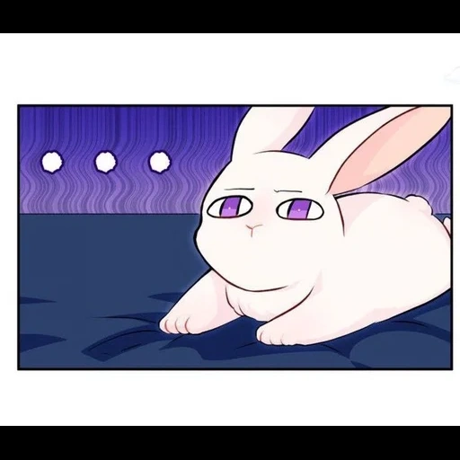 anime, das kaninchen, bunny anime, bild des kaninchens, das wort kaninchen