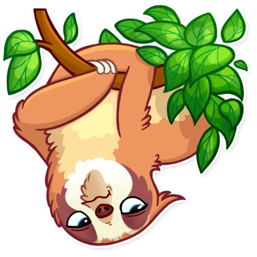 sloth, pretty lazy, the animals are cute, lazice branch vector, lazice tree drawing