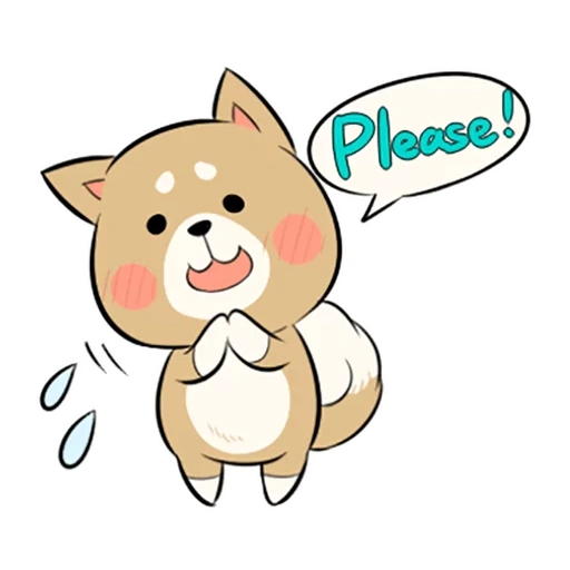 kawaii, kawaii, shiba inu, shiba inu, chats mignons