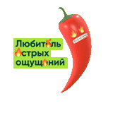 pepper, chilli, chile pepper 1 pc, chile pepper red, sharp red pepper