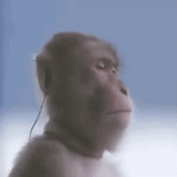 un mono, ukdevilz, jugador de mono, mono mono, meme del jugador de mono