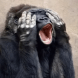 gorillaz, обсуждение, горилла плачет, горилла смешная, обезьяна смешная