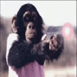 humano, filho, chimpanzés, macaco com uma coluna, macaco com uma pistola