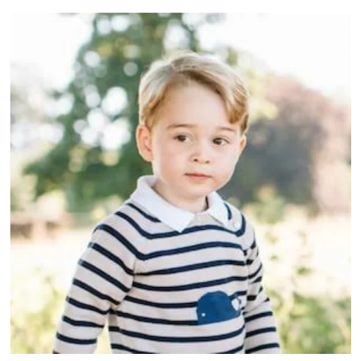 menino, príncipe george, prince george, o príncipe george tem 3 anos, george alexander louis