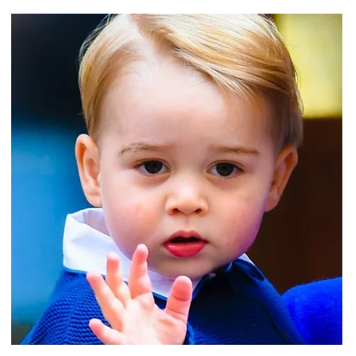enfants, prince george, prince george, prince william, prince george à cambridge