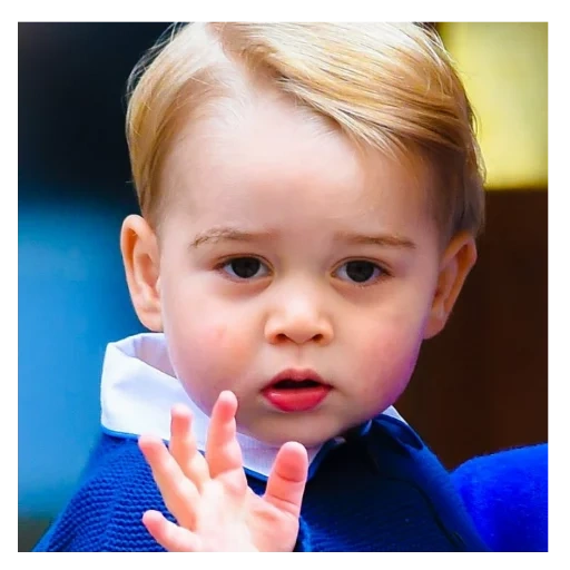 kinder, prince george, prince george, prince william, prinz george von cambridge