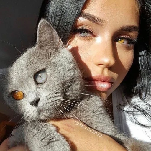 cat, young woman, the face of a cat, girl with cat eyes