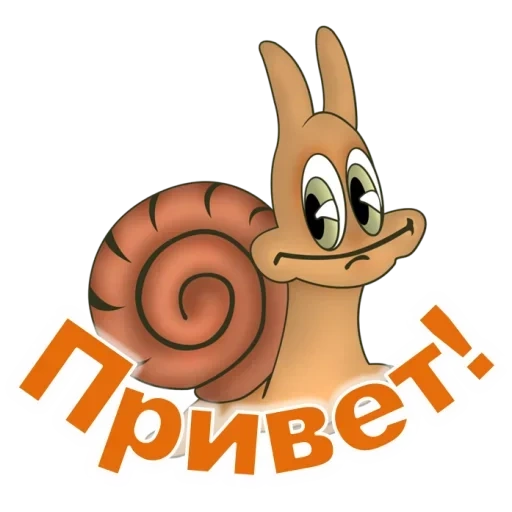 caracol de cartoon guaxinim rachone, caracol, caracol em um fundo transparente, snail baby raccoon, clipart