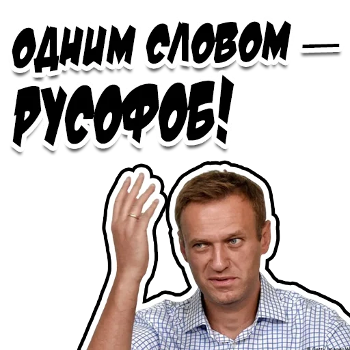 navalny fedorov, improvvisamente bello