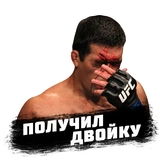 PRO MMA STICKERS