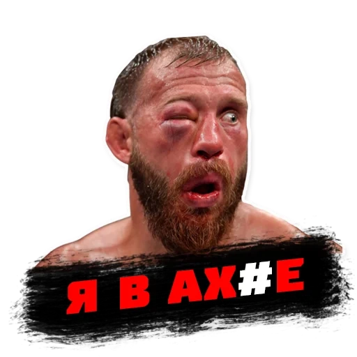 combatiente, luchadores mma, la batalla de alexander emelianenko, ultimate fighting championship, la cara de donald cerron después de la pelea tony