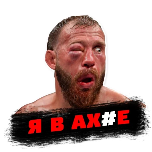 боец, бойцы мма, бой александра емельяненко, ultimate fighting championship, лицо дональда серроне после боя тони