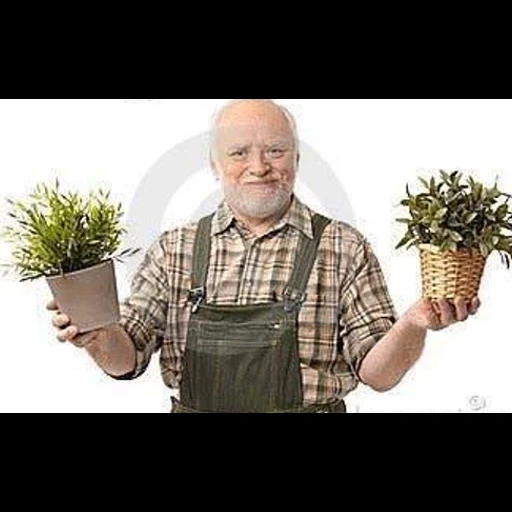 harold, gente, planta, harold abuelo, harold gardener