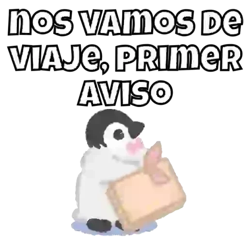 memes, pingüino, pingüino, pingüino hippie, los animales son lindos