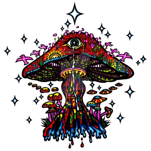 champignons, inscription psytrance, champignons art psychodel, psilocibine psychédélique, champignons hippies psychédéliques