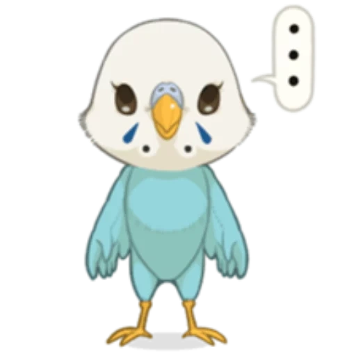the drawings are cute, shimedi sansa, cute animals, budgies clipart, kawaii birds with a white background