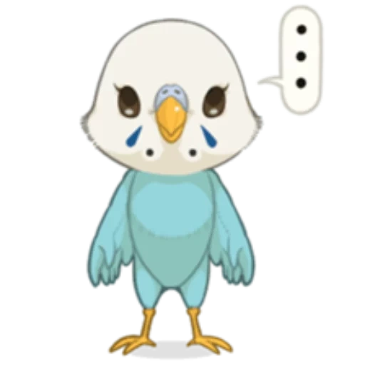 los dibujos son lindos, shimedi sansa, animales bonitos, budgies clipart, pájaros kawaii con fondo blanco