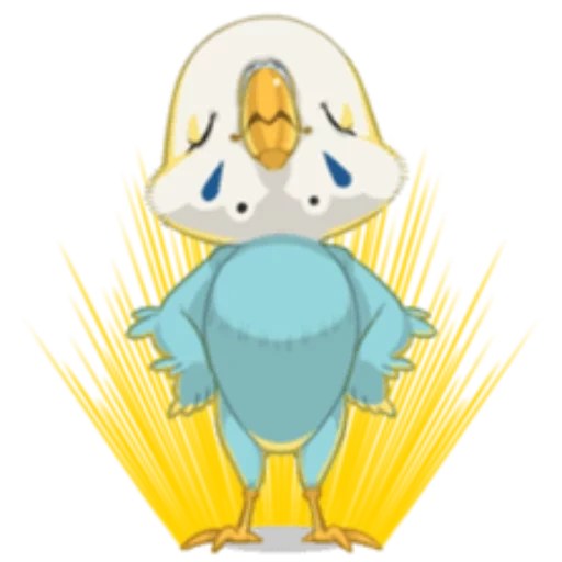 canard, anime, caneton, beaux canetons, pokémon weilmer