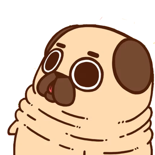 puglie pug, perroquet carlin de kawai