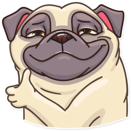 pug, haba dog, haba pug pug, poder de pug pug