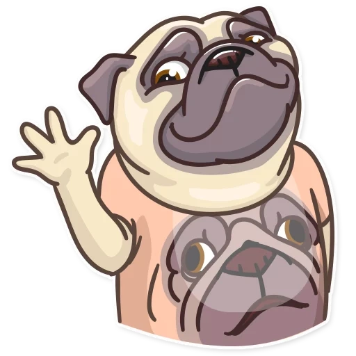 pug, pelarut muncul, pug power power, watsap pug power