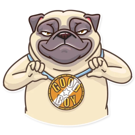 pug, pelarut muncul, pug power power, watsap pug power