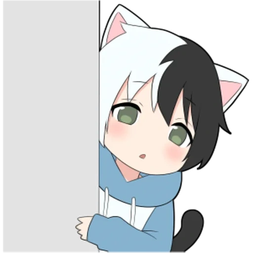 animação, animação nico, garoto de gato branco, o dia do gato anime
