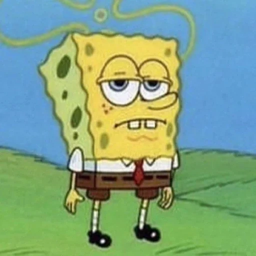 bob sponge funny, sponge bob sponge bob, sponge bob without pants, meme spanch bob expert, sponge bob square pants