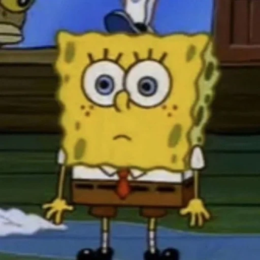 patrick stahl, dennis spongebob, spongebob divertente, spongebob spongebob spongebob, pantaloni spongebob square