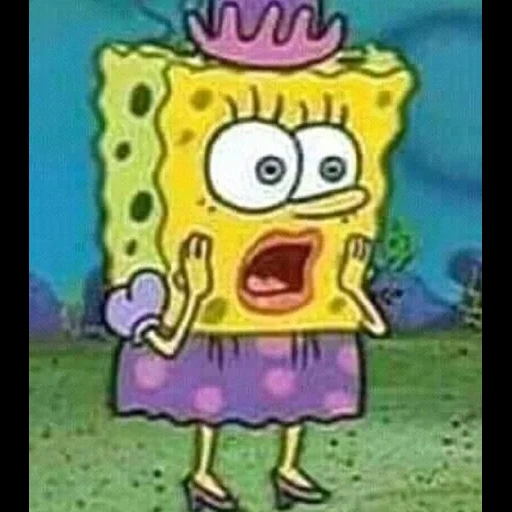 spugna bob, meme spongebob spongebob, spongebob meme, patricia spongebob, pantaloni spongebob square