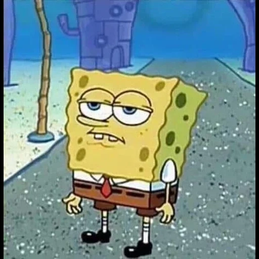 mem spange bob, bob sponge funny, sponge bob is tired, meme spanch bob expert, sponge bob square pants