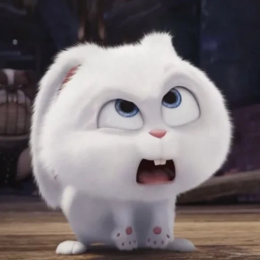 kucing, bola salju kelinci, rabbit secret life of pets 2, life of pets 2 rabbit snowball, kehidupan rahasia kelinci hewan peliharaan adalah salju