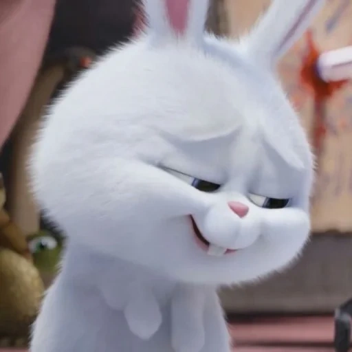 gato, bola de neve de coelho, coelho doce com dentes, última vida de coelho doméstico, little life of pets rabbit