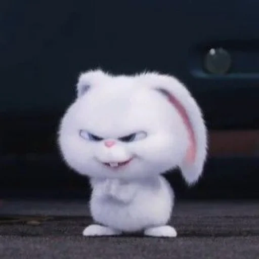 bola salju kelinci, sedikit kehidupan kelinci hewan peliharaan, snowball last life of pets, kehidupan rahasia hewan peliharaan hare snowball, kehidupan terakhir pets rabbit snowball