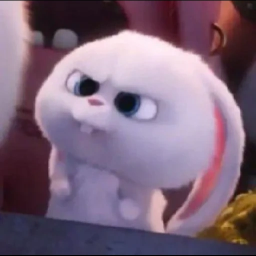 a toy, rabbit snowball, rabbit snowball cries, the secret life of pets, last life of pets rabbit snowball