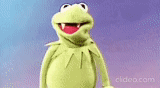 kermit, kermit, komi frog, comet the frog, sesame street frog comet