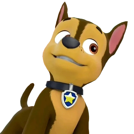 cachorro patrulha o céu, cachorro patrulha rocky, herói de patrulha de cachorro, patrulha de cachorro fletcher, perseguidor de patrulha de cachorro