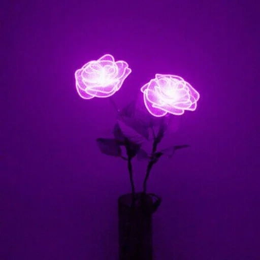 violet, it's purple for us, aesthetic purple, neon flower, purple light black glass