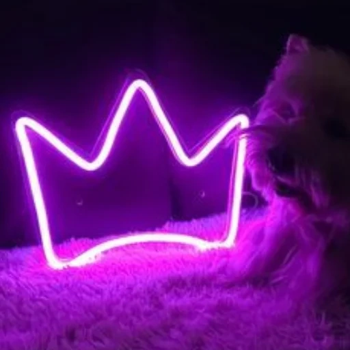 lampada al neon, background viola, violet neon, insegne al neon, von violet neon